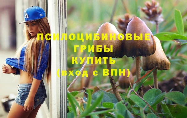 ECSTASY Горно-Алтайск
