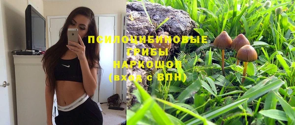 соль курить ск Горнозаводск
