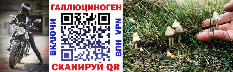 Псилоцибиновые грибы Psilocybine cubensis  Купить  Костомукша 